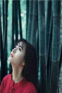 玄幻：开局武魂亿万现代武装(杨子雷杨子)TXT