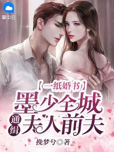 前任惨败！我的老公可超迷人(唐洛秦霄)作品