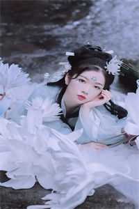 村官桃花途(柳如烟陈平安)百度贴吧