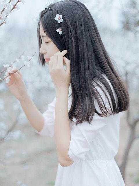 十年迷途寄余生(顾清淮苏明悦)新上热文