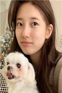 老婆喝了男助理的酒，我果断离婚(苏雪周野)免费看
