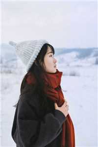 重生后带着妻女疯狂捞金(谢昭林暮雨)结局+番外