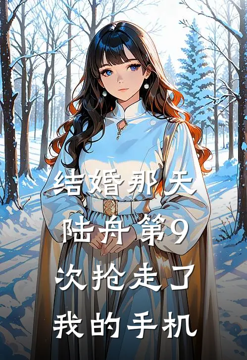 结婚那天，陆舟第9次抢走了我的手机