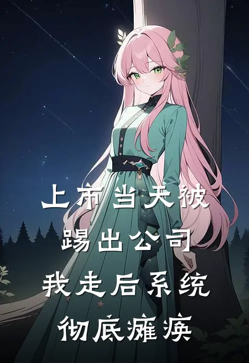 上市当天被踢出公司，我走后系统彻底瘫痪