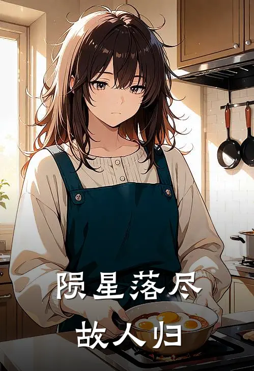 陨星落尽故人归