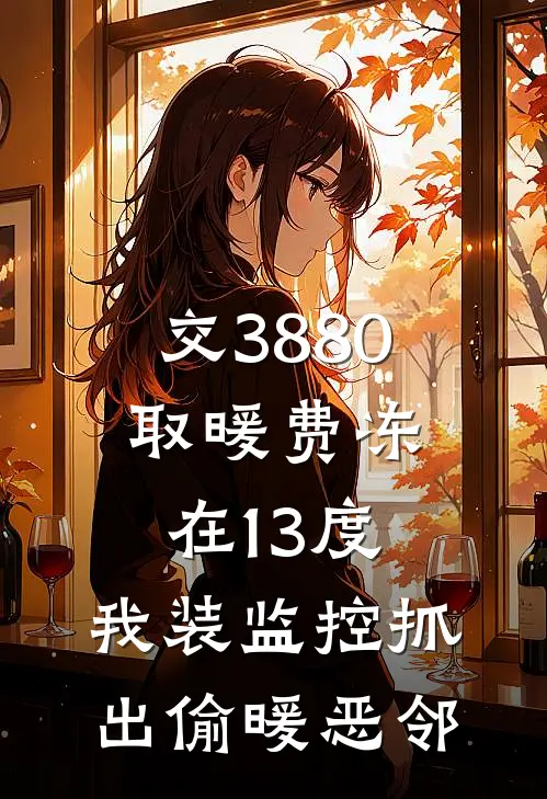 交3880取暖费冻在13度，我装监控抓出偷暖恶邻