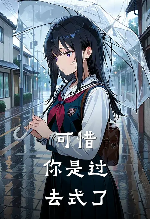 可惜，你是过去式了