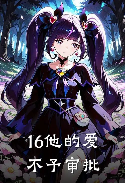 16他的爱，不予审批