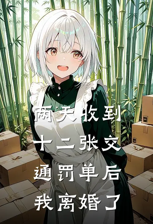 两天收到十二张交通罚单后,我离婚了