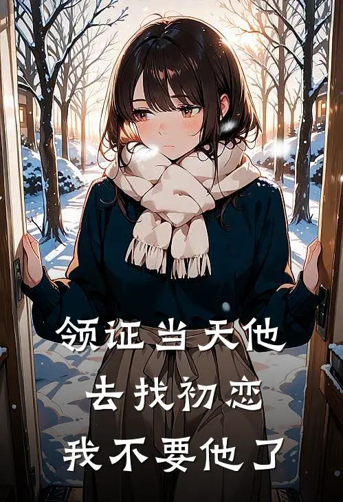 领证当天他去找初恋,我不要他了