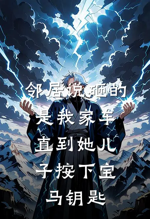 邻居说砸的是我家车,直到她儿子按下宝马钥匙