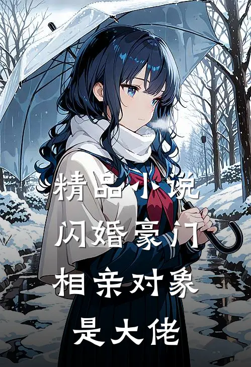 精品小说闪婚豪门：相亲对象是大佬