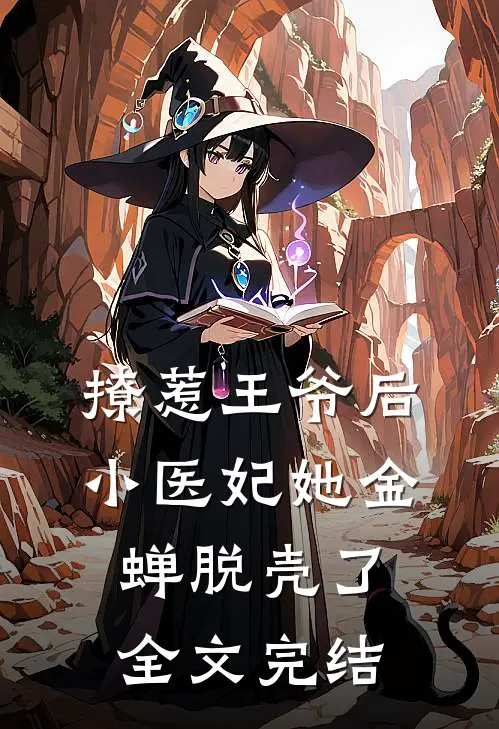 撩惹王爷后，小医妃她金蝉脱壳了全文完结