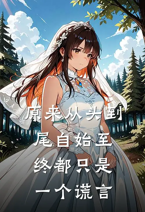 原来从头到尾自始至终都只是一个谎言