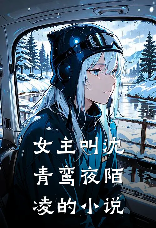 女主叫沈青鸾夜陌凌的小说