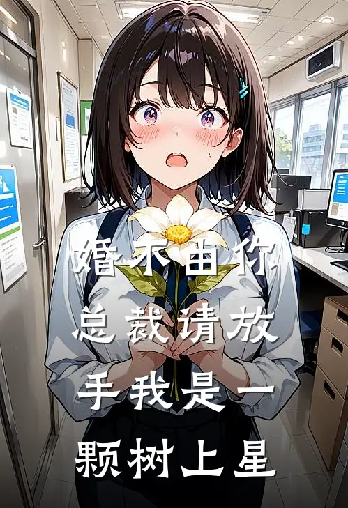 婚不由你总裁请放手 我是一颗树上星