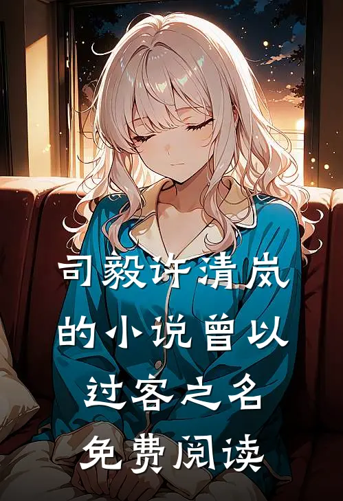 司毅许清岚的小说曾以过客之名免费阅读