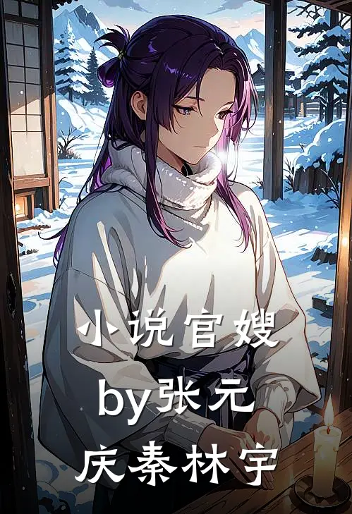 小说官嫂by张元庆秦林宇
