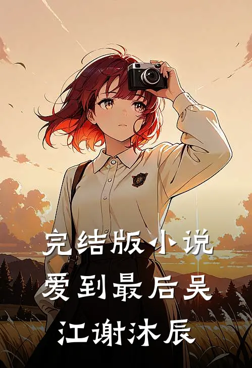 完结版小说爱到最后吴江谢沐辰