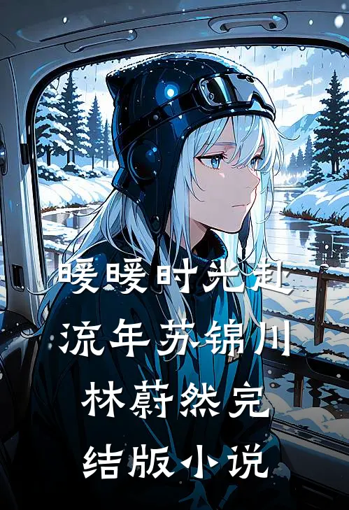 暖暖时光赴流年苏锦川林蔚然完结版小说