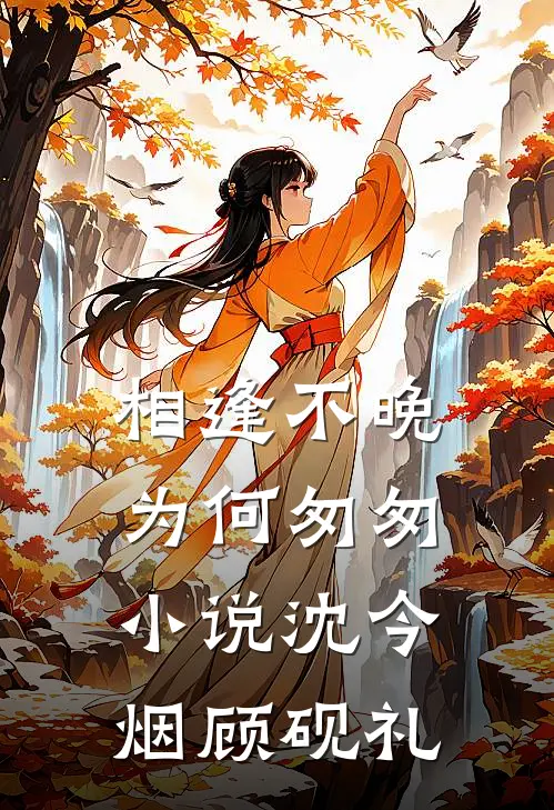 相逢不晚为何匆匆小说沈今烟顾砚礼