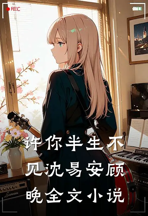 许你半生不见沈易安顾晚全文小说