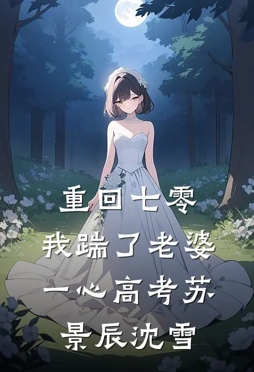 重回七零，我踹了老婆一心高考苏景辰沈雪