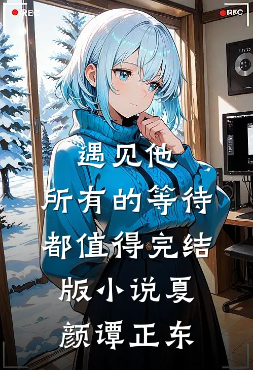遇见他，所有的等待都值得完结版小说夏颜谭正东