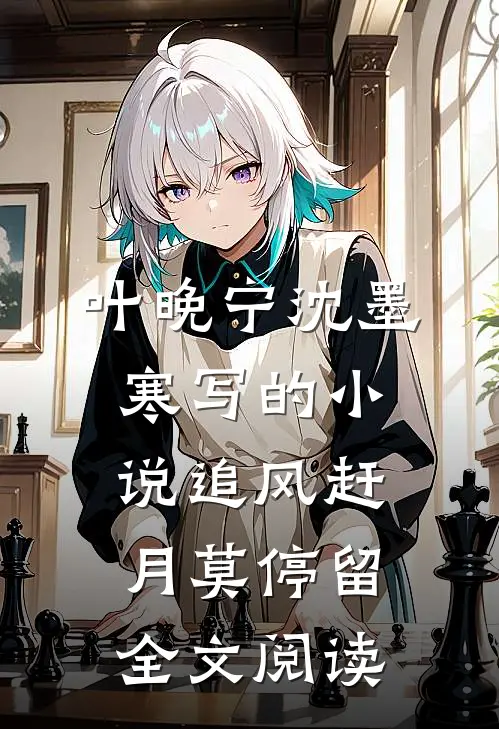 叶晚宁沈墨寒写的小说追风赶月莫停留全文阅读