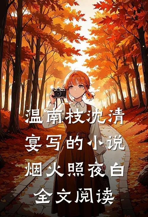 温南枝沈清宴写的小说烟火照夜白全文阅读