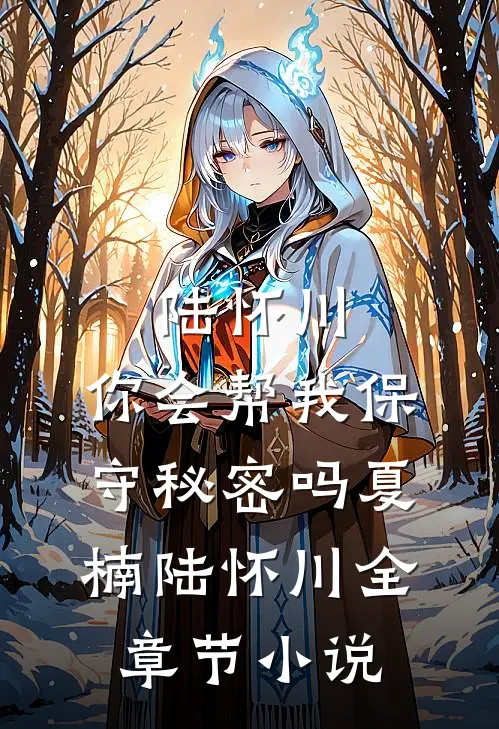 陆怀川，你会帮我保守秘密吗夏楠陆怀川全章节小说