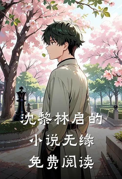 沈黎林启的小说无缘免费阅读