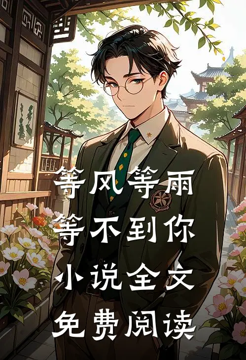 等风等雨等不到你小说全文免费阅读