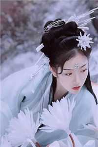 穿越后，我在沙场大放光芒(叶临渊叶白)爆款宝藏
