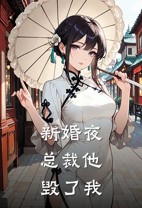 新婚夜，总裁他毁了我