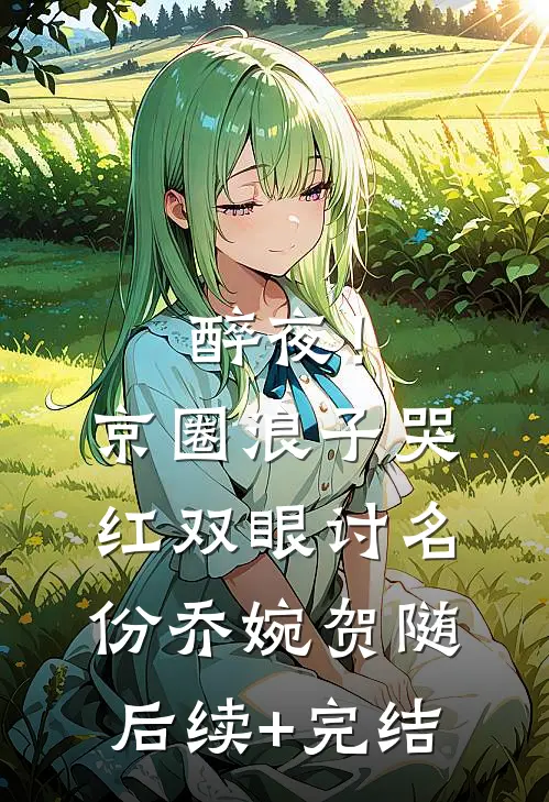 醉夜！京圈浪子哭红双眼讨名份乔婉贺随后续+完结
