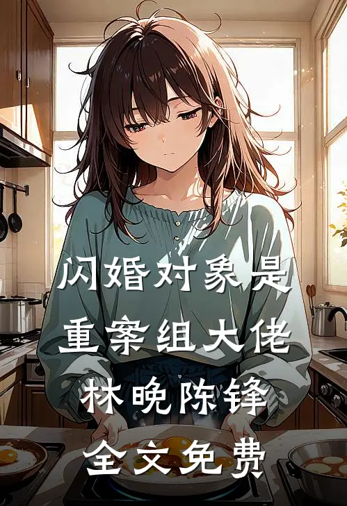 闪婚对象是重案组大佬林晚陈锋全文免费