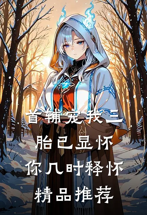 首辅宠我三胎已显怀，你几时释怀精品推荐