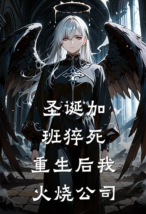 圣诞加班猝死，重生后我火烧公司