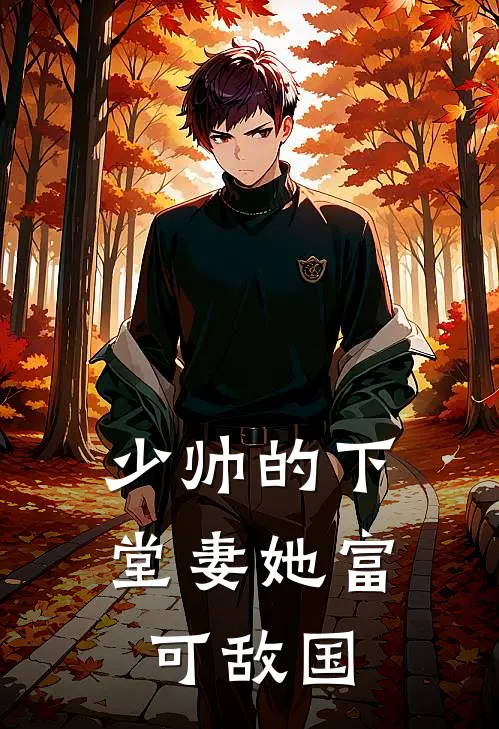 少帅的下堂妻她富可敌国