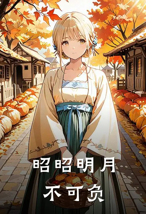 昭昭明月不可负