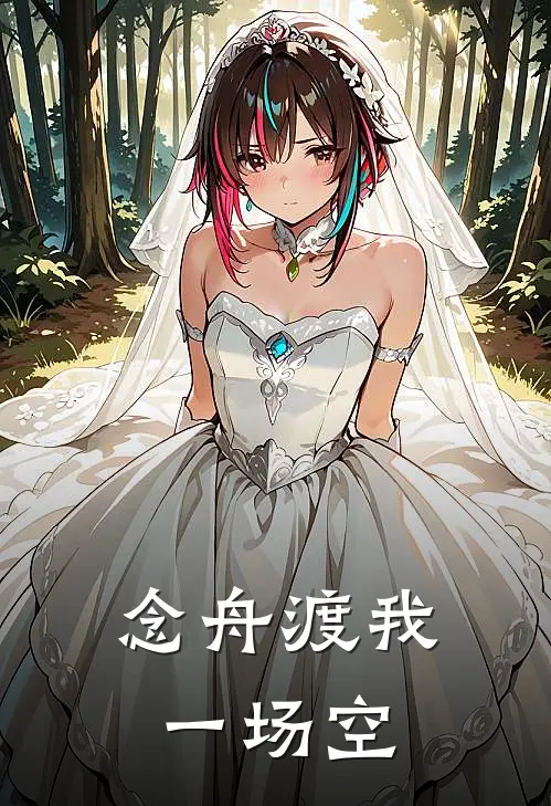 念舟渡我一场空