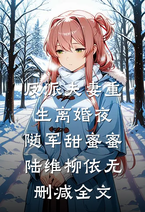 反派夫妻重生离婚夜，随军甜蜜蜜陆维柳依无删减全文