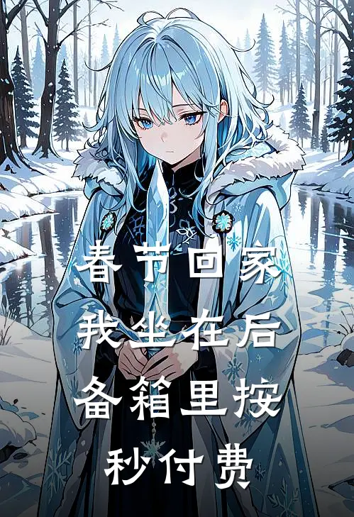 春节回家，我坐在后备箱里按秒付费