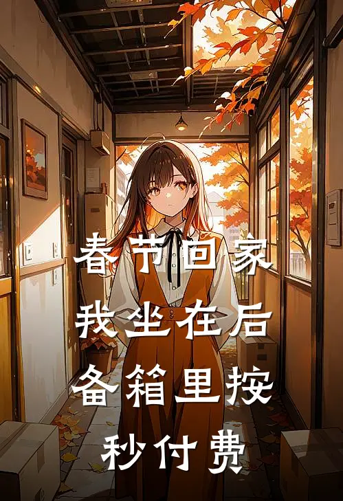春节回家，我坐在后备箱里按秒付费