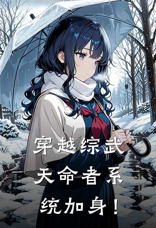 穿越综武，天命者系统加身！
