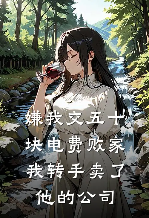 嫌我交五十块电费败家，我转手卖了他的公司
