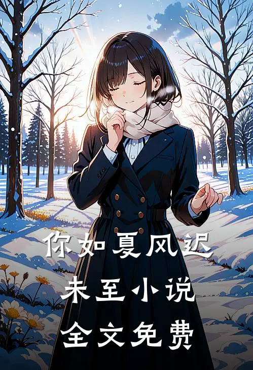 你如夏风迟未至小说全文免费