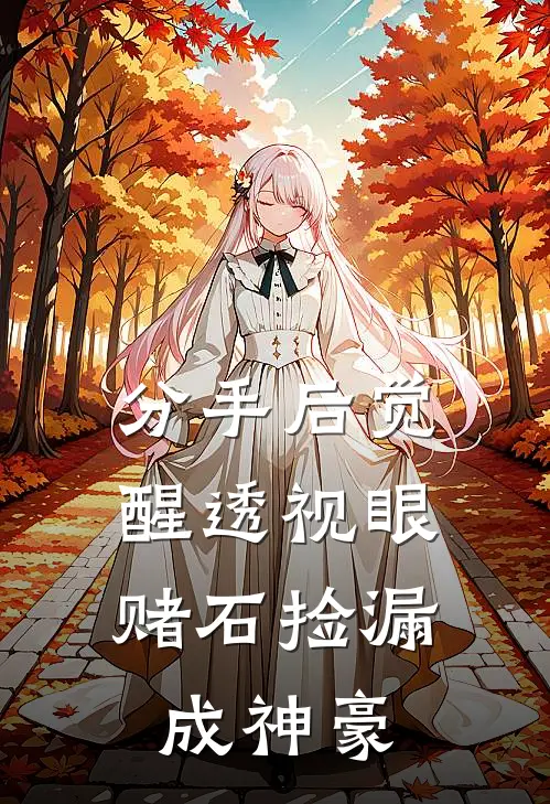 分手后觉醒透视眼，赌石捡漏成神豪