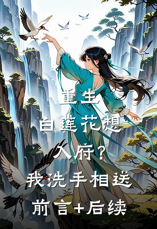 重生：白莲花想入府？我洗手相送前言+后续